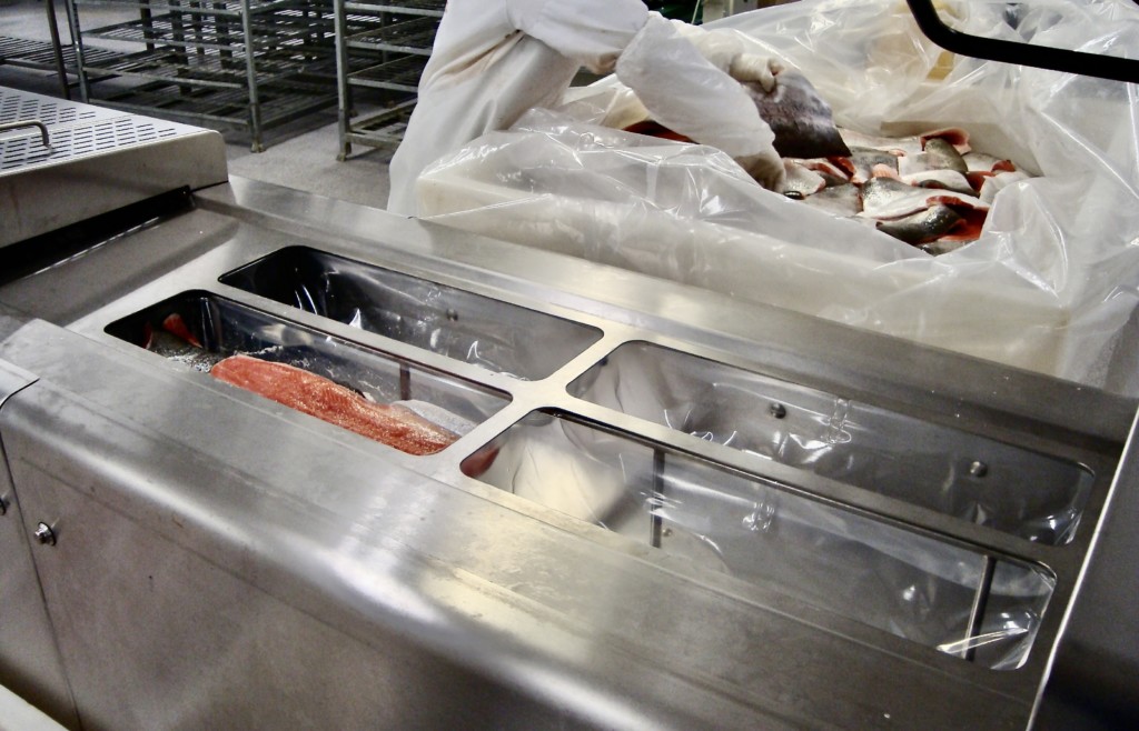 Fish processing inside a Kometos production plant