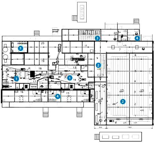 SINA-S35h twenty-one-module pig slaughterhouse layout
